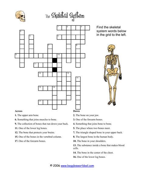 Skeleton Crossword Puzzle Printable